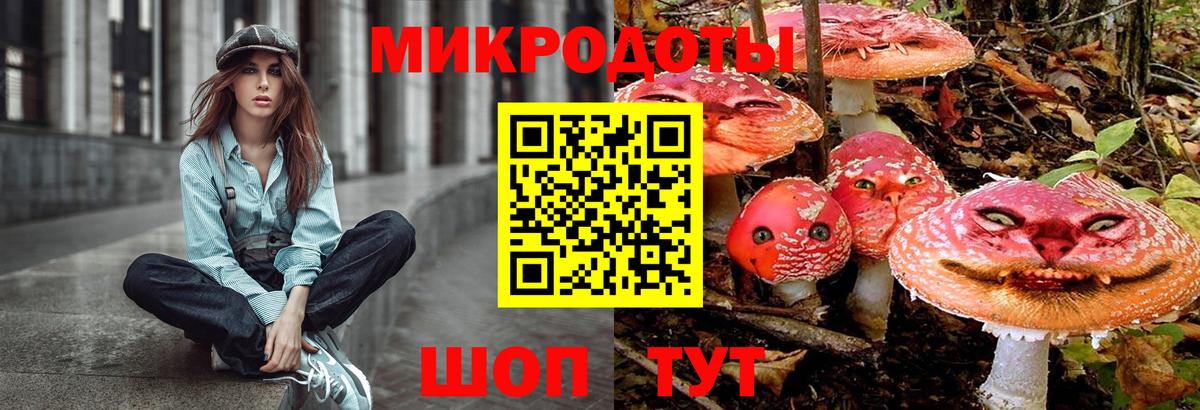 Псилоцибиновые грибы ЛСД Сибай